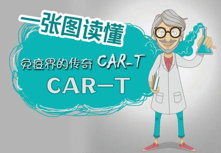 <b>一张图读懂免疫治疗新贵CAR-T终结癌症，e生保客户直结</b>