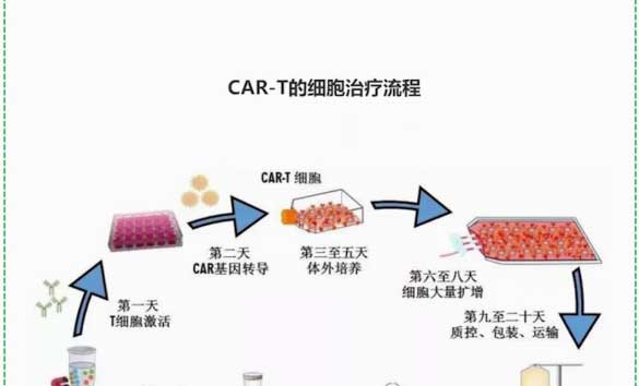 读懂cart