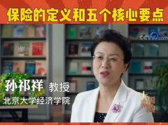 <b>视频 | 北大孙教授给出了保险的定义和五个核心要点，</b>
