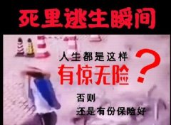 <b>视频 | 总是那么好的运气？死里逃生瞬间！</b>